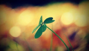 柏林赫塔迎战多特蒙德，谁能占尽优势？