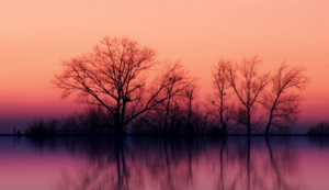 佛罗伦萨引援大手笔,打造新赛季强队阵容