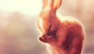 亚洲女足赛事：中国队夺得冠军