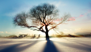 意甲豪门球队调整战术,备战下一场比赛